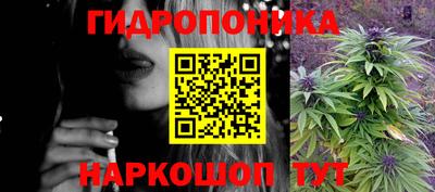 спиды Новодвинск