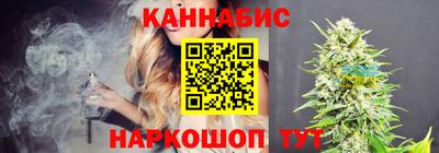 спиды Новодвинск