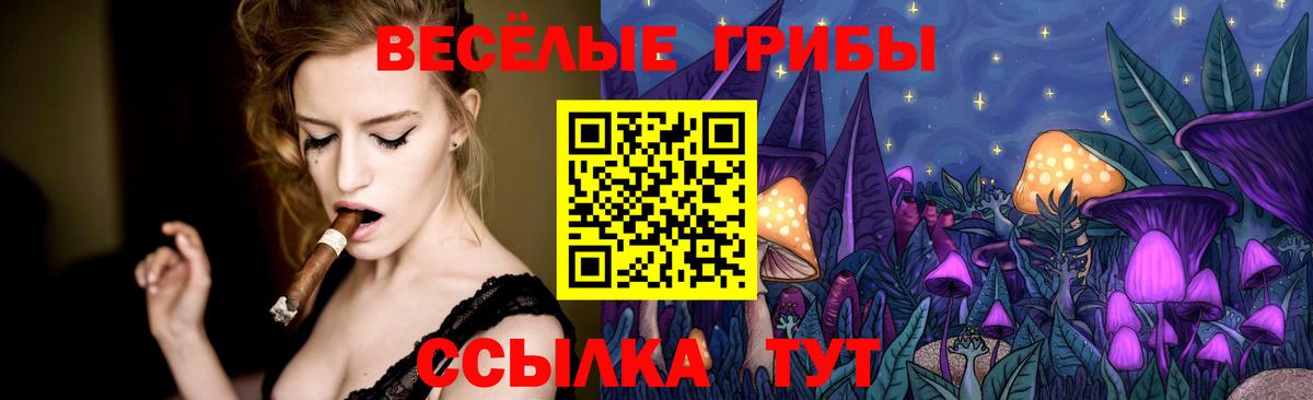 Сосновый Бор  Псилоцибиновые грибы ЛСД  Вход с VPN  Галлюциногенные грибы прущие грибы 