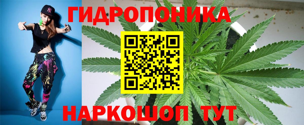 Каннабис OG Kush Сосновый Бор